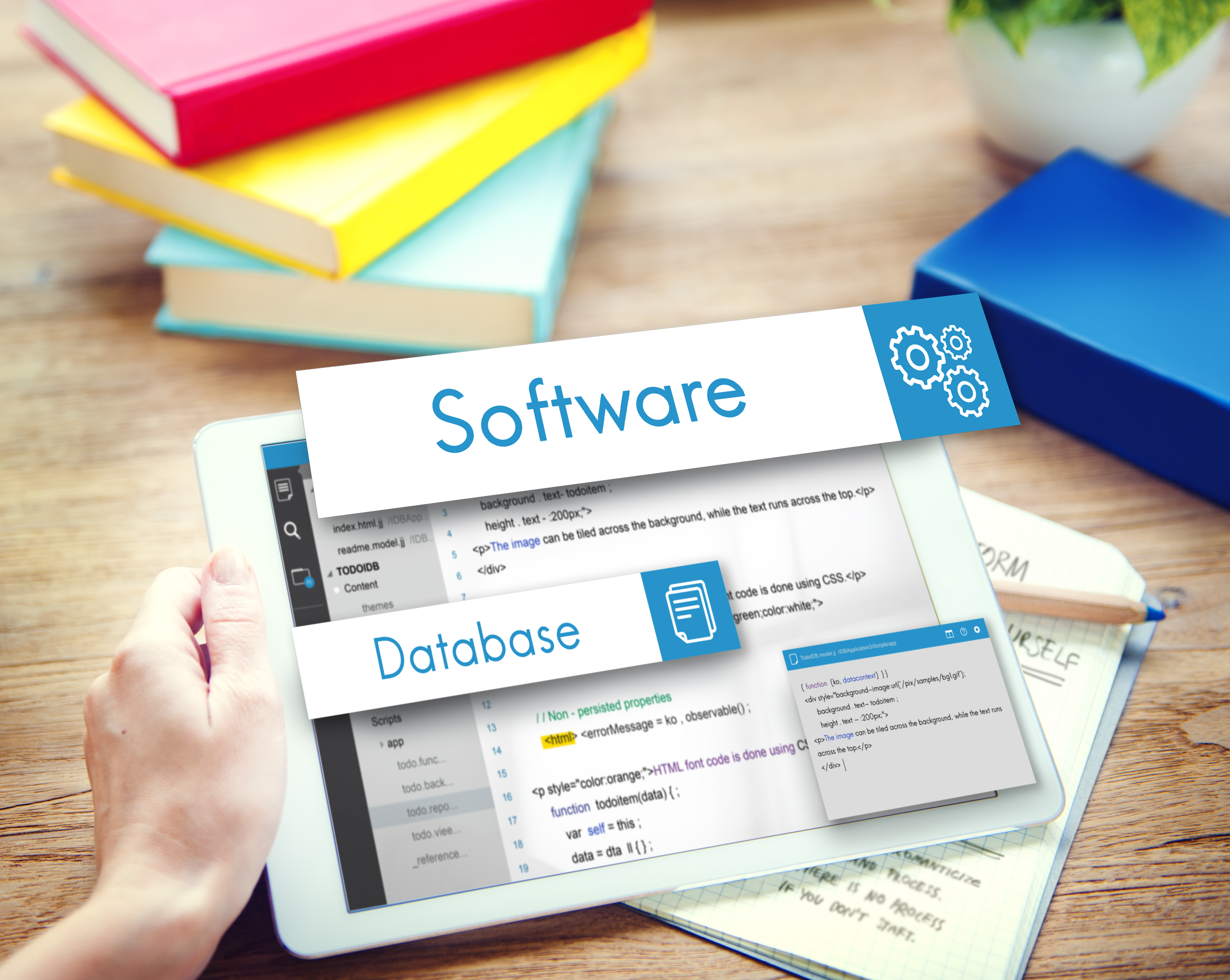Custom Software Development Services in Pune